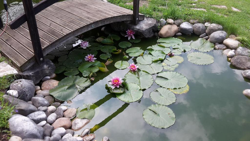 Le Grangeon 01 Villa Amberieu-en-Bugey Phòng bức ảnh